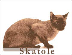 Skatole