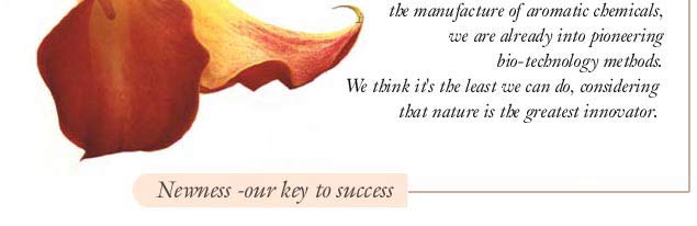 Newness-our key to success